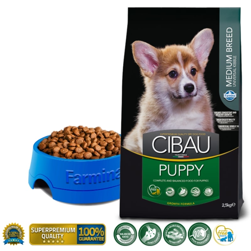 cibau-puppy-medium.jpg